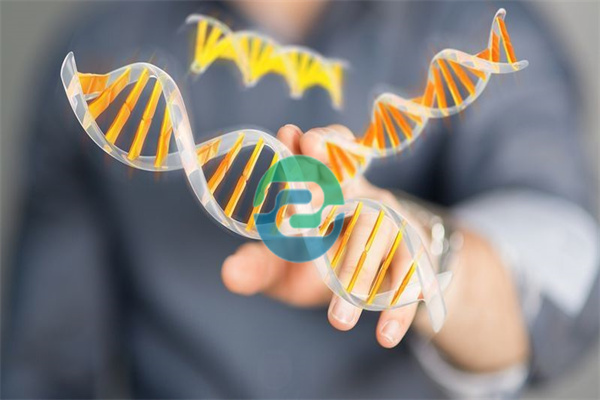 2025年中山學校親子鑒定費用和注意事項的詳細分析