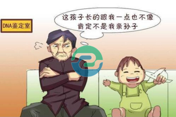 中山正規的親子鑒定需要多少錢？地址在哪？