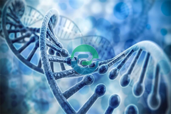 真的要親自去做中山親子鑒定嗎？