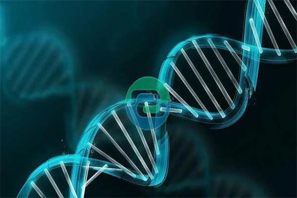 中山親子鑒定費用因多種因素而異！