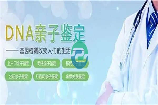 中山親子鑒定分兩種，材料差別很大！