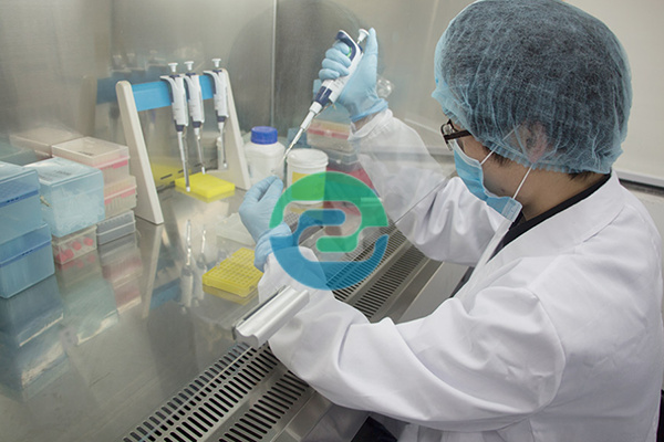 怎么偷偷做中山dna親子鑒定？