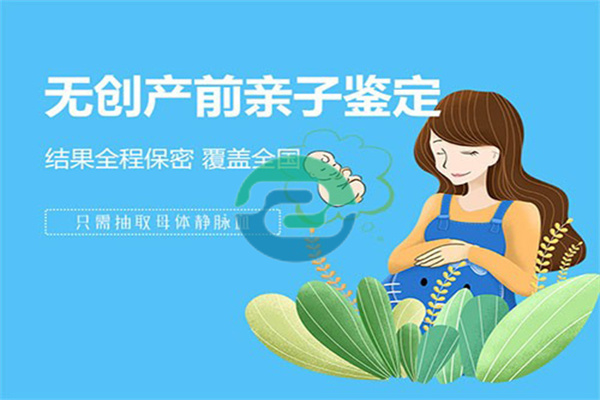 中山無(wú)創(chuàng)胎兒親子鑒定的原則及費(fèi)用