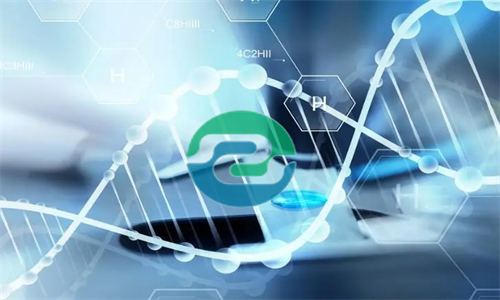 中山的DNA親子鑒定價格受哪些因素的影響？