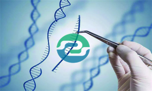 發現懷孕可以做中山親子鑒定嗎？可以保護隱私嗎？