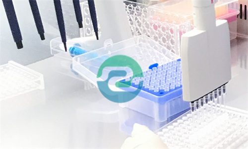 如何提高煙頭樣本中山親子鑒定的準確性？