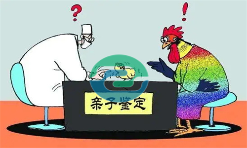 中山匿名親子鑒定結果如何收費？收費會不會更貴一些？