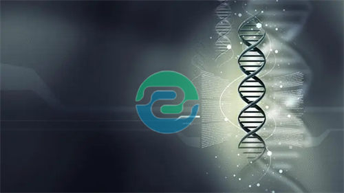 中山親子鑒定的費(fèi)用是多少？影響價格的因素是什么？