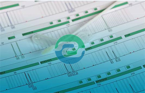 中山親子鑒定結果與外貌特征相似度的關系