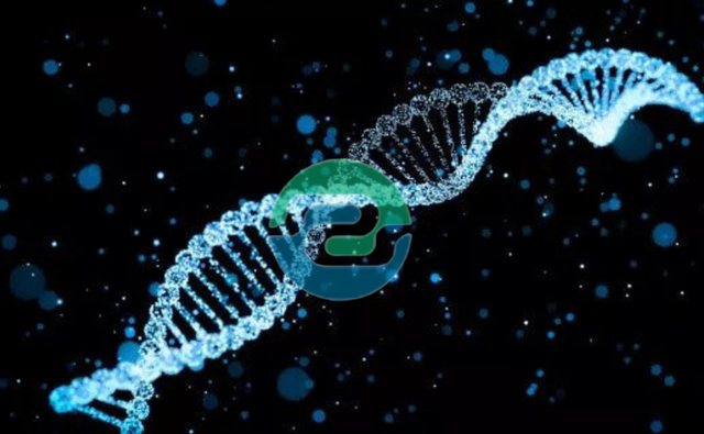 如何判斷中山親子鑒定機構(gòu)是否正規(guī)?