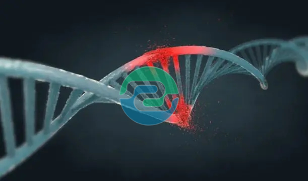 如何在懷孕一個月內進行中山無創胎兒親子鑒定？