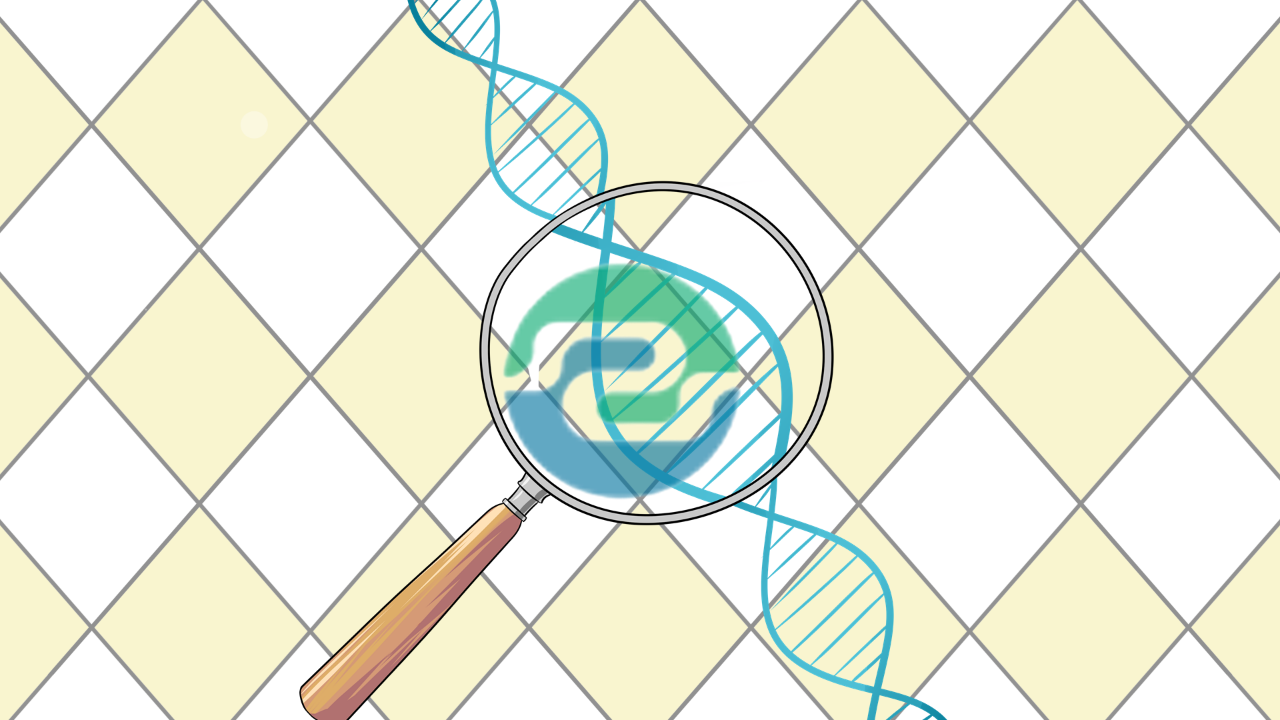 中山親子鑒定的程序是什么？