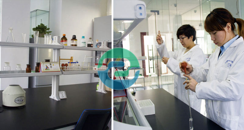 中山親子鑒定是多少錢(qián)??？中山親子鑒定辦理各種方法？