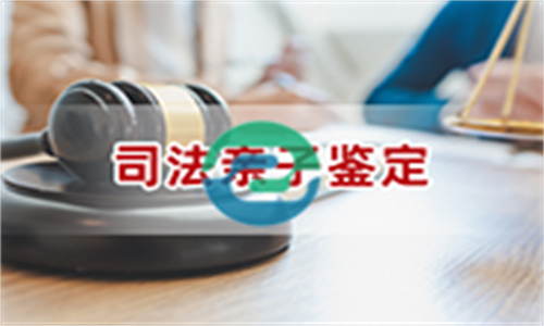 網上親子鑒定的準確性-中山親子鑒定